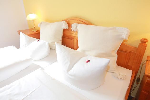 Hotel In Der Muehle Werdau Cameră foto